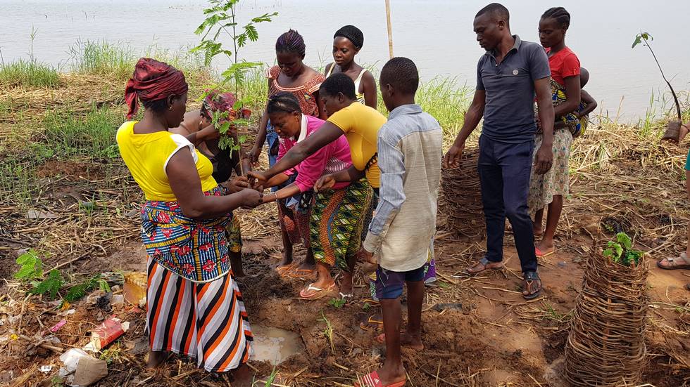 Voyage Bénin - Femmes qui plante des palétuviers au bord du lac Ahémé au Bénin