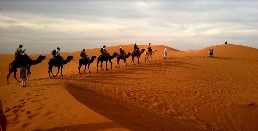 Maroc désert oasis M'Hamid
