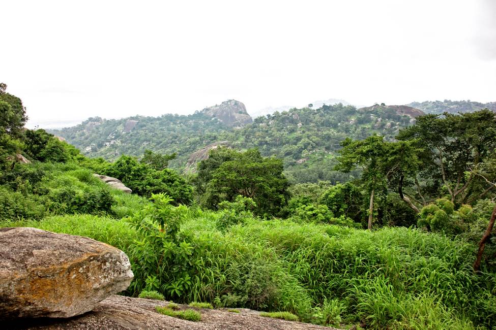 Voyage Bénin - Paysage en haut d'une des 41 collines de Dassa au Bénin