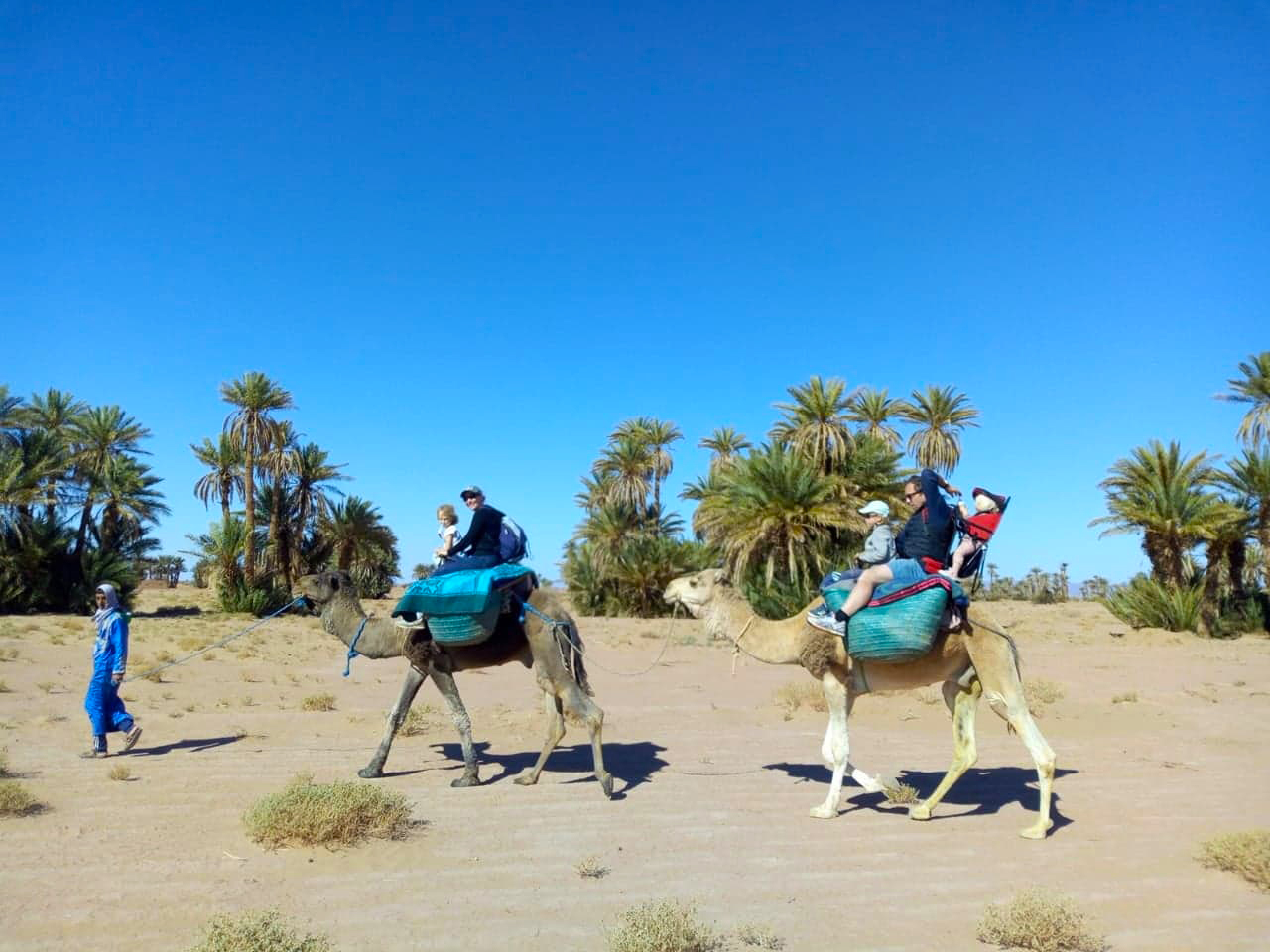Balade en famille à dos de dromadaire dans le désert du Sahara au Maroc