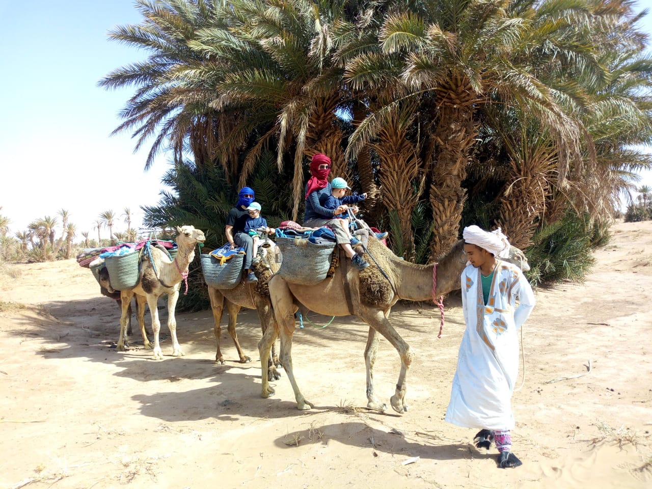 Balade à dos de dromadaire dans le désert marocain