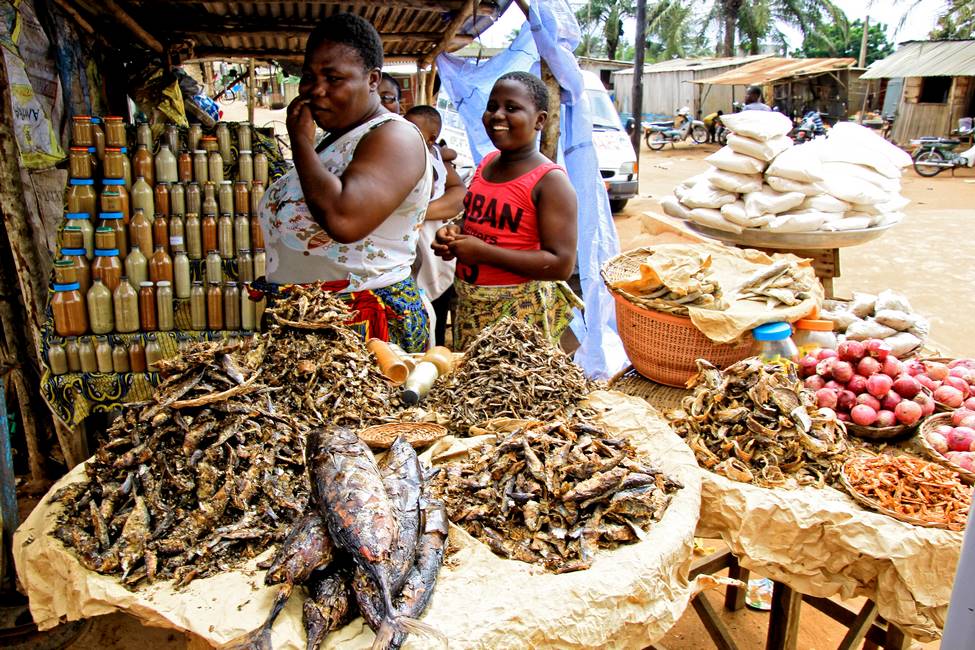 Voyage Bénin - Femmes tenant un stand de poisson au marché au Bénin