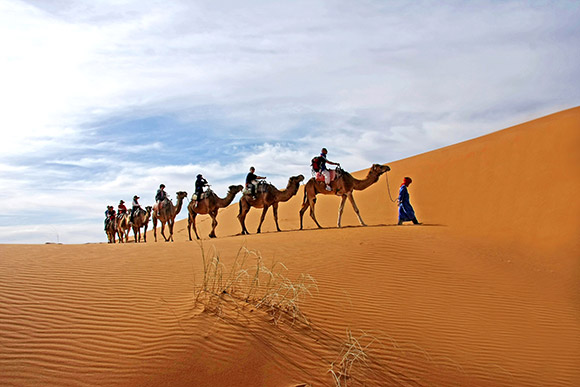 Méharée en dromadaires dans les dunes dudésert du sahara au Maroc