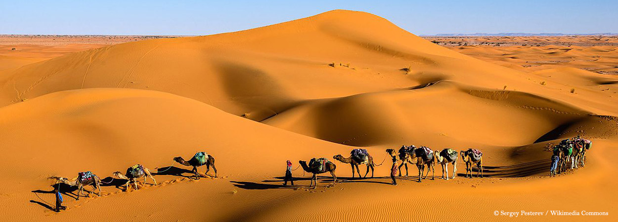 Voyages éco responsables et solidaires dans le désert du sahara marocain