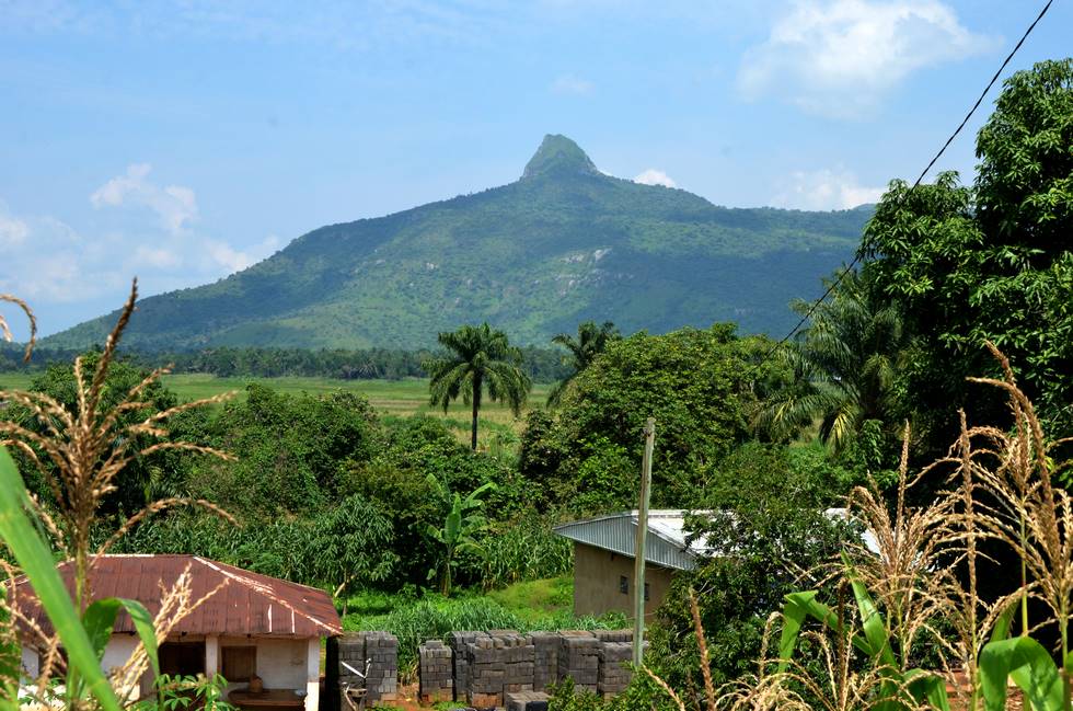 Voyage Cameroun - Mont Mbapit au Cameroun