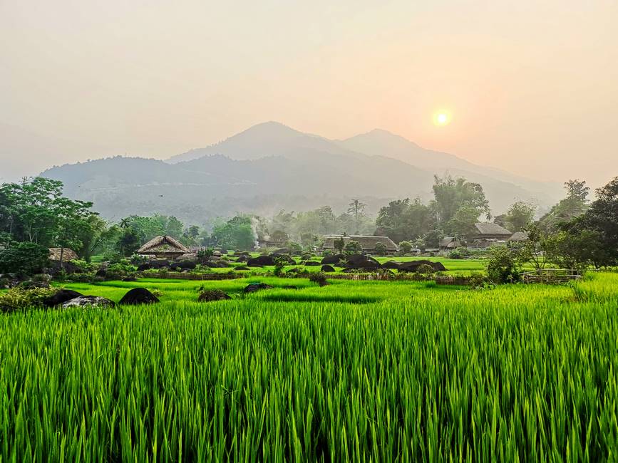 Coucher de soleil dans les rizières au nord Vietnam