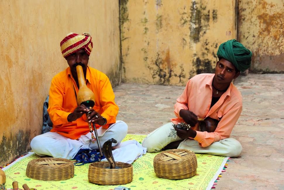 Charmeurs de serpent du Rajasthan
