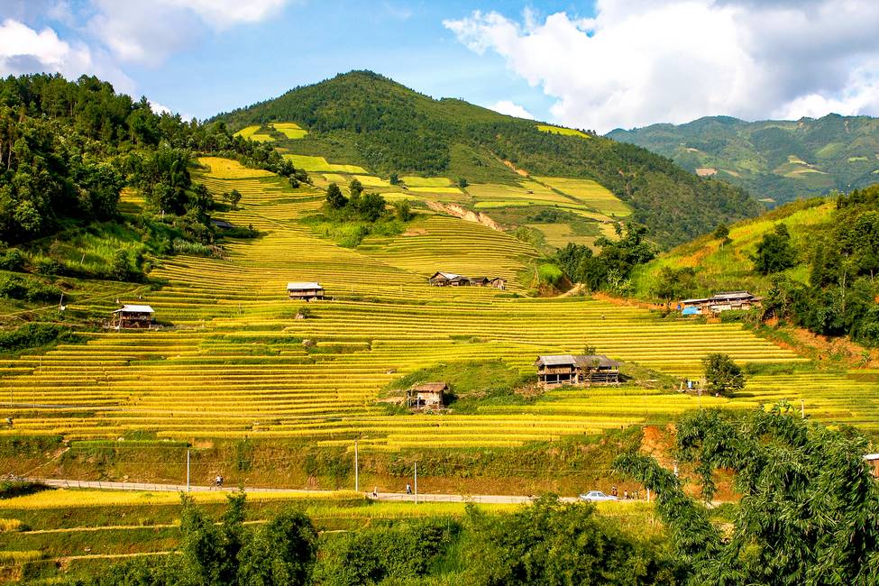 Paysage de rizières en terrasse au Vietnam