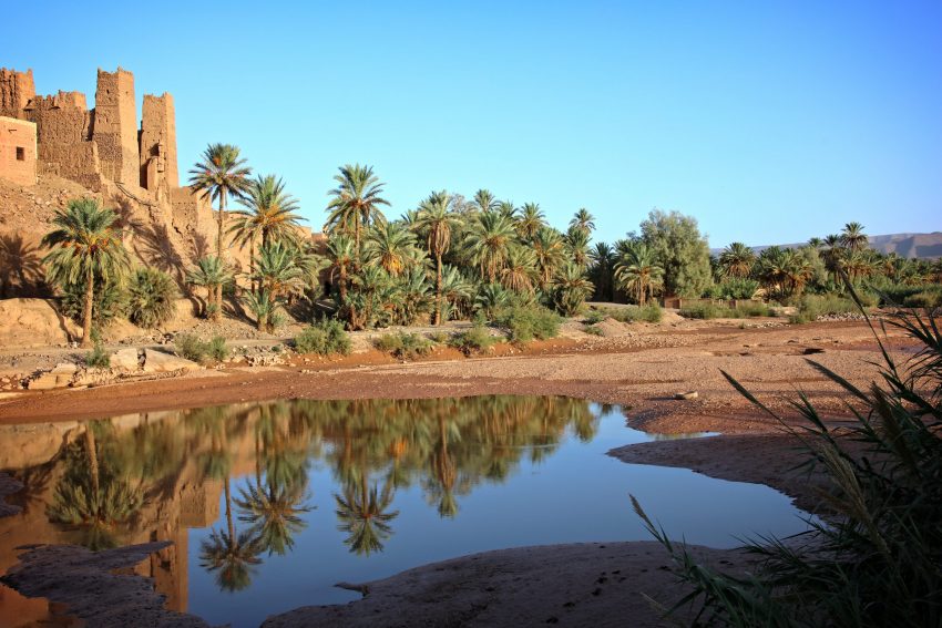 Ancien ksar dans la palmeraie de la vallée du Drâa au Maroc