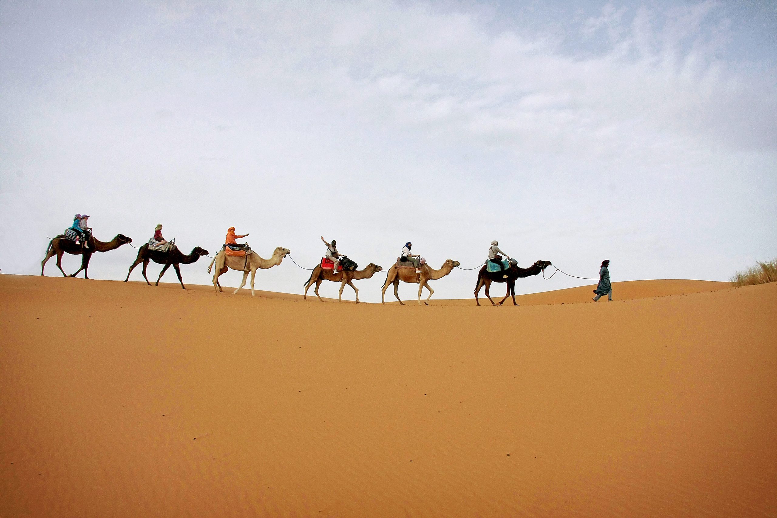 Méharée à dos de dromadaire dans le désert au Maroc