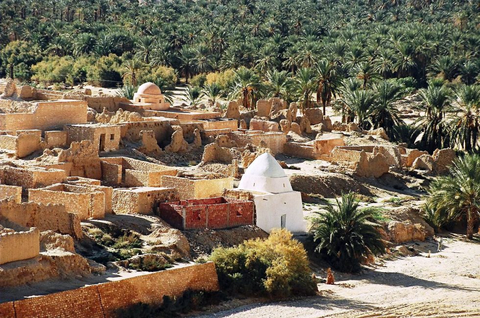 oasis Tamerza Tozeur Tunisie