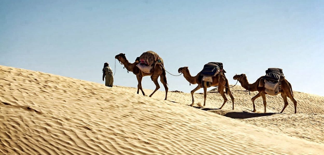 circuit trek tunisie désert