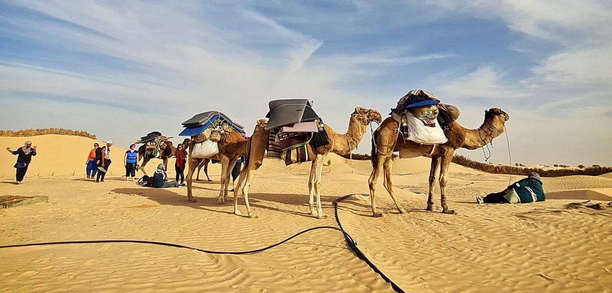 circuit trek Tunisie désert