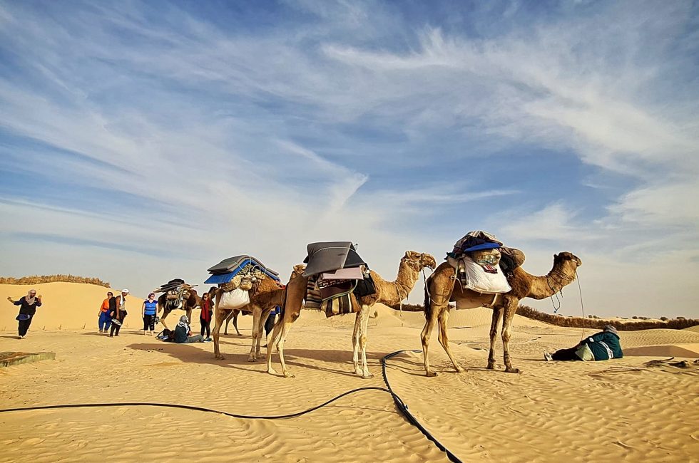 trek dromaires desert Tunisie