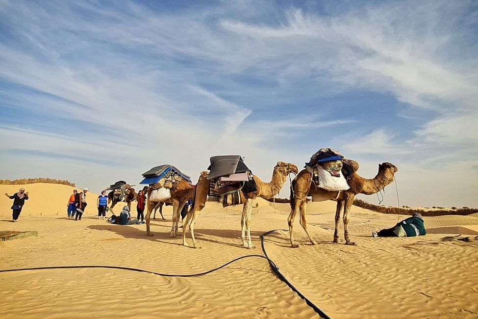 trek dromaires desert Tunisie