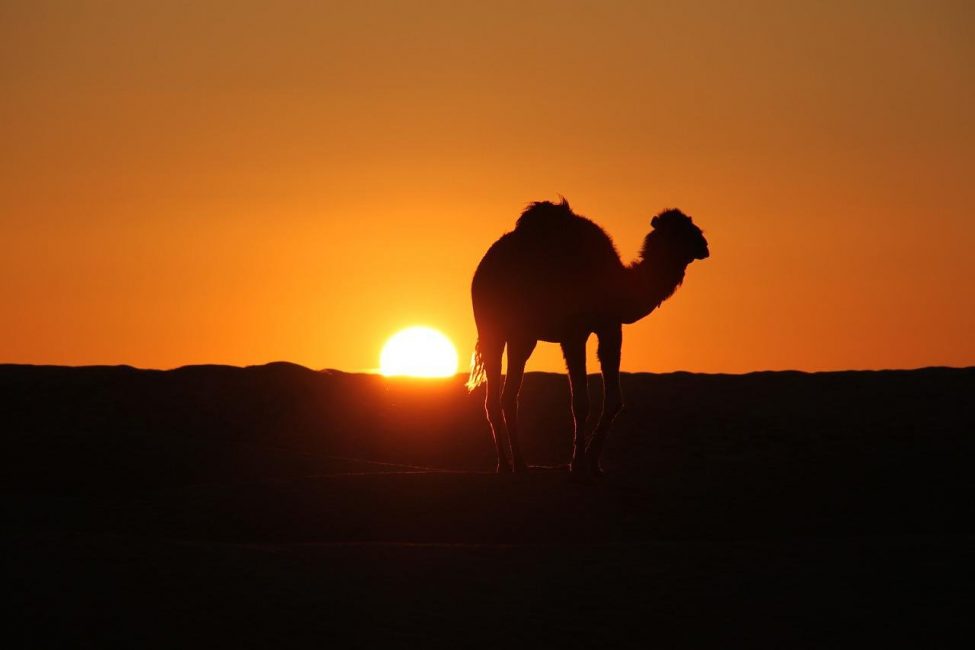 coucher soleil désert Tunisie
